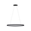 Paul Neuhaus TITUS Pendant Light LED anthracite, 1-light source