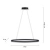 Paul Neuhaus TITUS Pendant Light LED anthracite, 1-light source