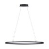 Paul Neuhaus TITUS Pendant Light LED anthracite, 1-light source