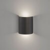 Fischer & Honsel Halv Wall Light LED black, 2-light sources