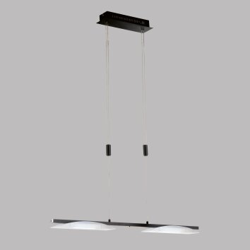 Fischer & Honsel Kop Pendant Light LED black, 2-light sources