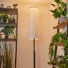 Coquimbito Floor Lamp LED black, 2-light sources