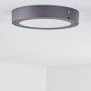 Leto outdoor ceiling light LED anthracite, 1-light source