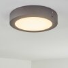 Leto outdoor ceiling light LED anthracite, 1-light source