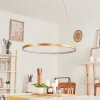 Calcium Pendant Light LED brass, 1-light source