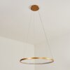Calcium Pendant Light LED brass, 1-light source
