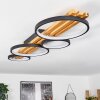 Rodekro Ceiling Light LED black, 1-light source