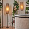 Pomancillo Floor Lamp black, 1-light source