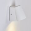 Swisher Outdoor Wall Light LED white, 1-light source