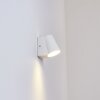 Swisher Outdoor Wall Light LED white, 1-light source