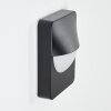 Primera Outdoor Wall Light black, 1-light source