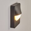 Primera Outdoor Wall Light black, 1-light source