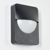 Primera Outdoor Wall Light black, 1-light source
