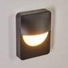 Primera Outdoor Wall Light black, 1-light source
