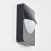 Primera Outdoor Wall Light black, 1-light source