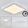 Leto outdoor ceiling light LED white, 1-light source