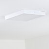 Leto outdoor ceiling light LED white, 1-light source