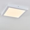 Leto outdoor ceiling light LED white, 1-light source