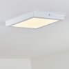 Leto outdoor ceiling light LED white, 1-light source