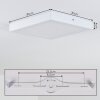 Leto outdoor ceiling light LED white, 1-light source