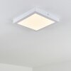 Leto outdoor ceiling light LED white, 1-light source