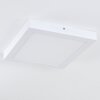 Leto outdoor ceiling light LED white, 1-light source