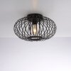 LeuchtenDirekt RACOON Ceiling Light black, 1-light source