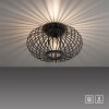 LeuchtenDirekt RACOON Ceiling Light black, 1-light source