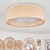 Wynona Ceiling Light LED white, 1-light source