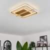 Evolene Ceiling Light LED gold, 1-light source