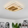 Evolene Ceiling Light LED gold, 1-light source