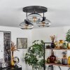 Haikala Ceiling Light clear, Smoke-coloured, 3-light sources