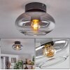 Haikala Ceiling Light clear, Smoke-coloured, 1-light source