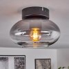 Haikala Ceiling Light clear, Smoke-coloured, 1-light source
