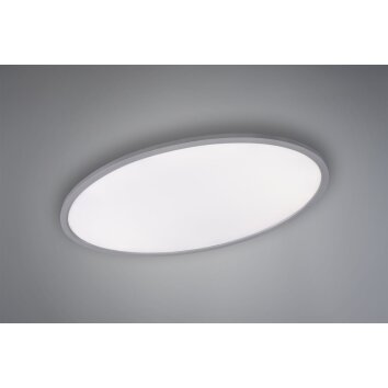 Trio TORRANCE Ceiling light LED titanium, 1-light source