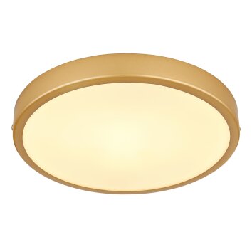 Globo TIBEY Ceiling Light LED brass, 1-light source