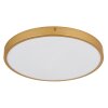 Globo TIBEY Ceiling Light LED brass, 1-light source