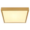 Globo TIBEY Ceiling Light LED brass, 1-light source