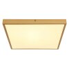 Globo TIBEY Ceiling Light LED brass, 1-light source