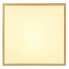 Globo TIBEY Ceiling Light LED brass, 1-light source