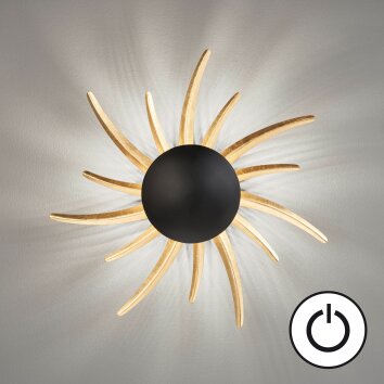 Fischer & Honsel Sol Wall Light LED black, 1-light source