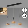 Fischer & Honsel SHINEWOOD Pendant Light LED black, 3-light sources