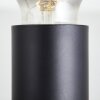 Brilliant Tiffany Ceiling Light black, 2-light sources