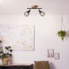 Brilliant Gwen Ceiling Light Dark wood, 2-light sources