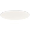 Brilliant Colden Ceiling Light LED white, 1-light source