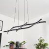 Fuliola Pendant Light LED black, 1-light source