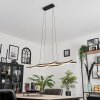 Fuliola Pendant Light LED black, 1-light source