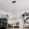 Fuliola Pendant Light LED black, 1-light source