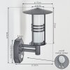 Forli Outdoor Wall Light anthracite, 1-light source, Motion sensor