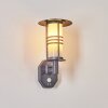 Forli Outdoor Wall Light anthracite, 1-light source, Motion sensor
